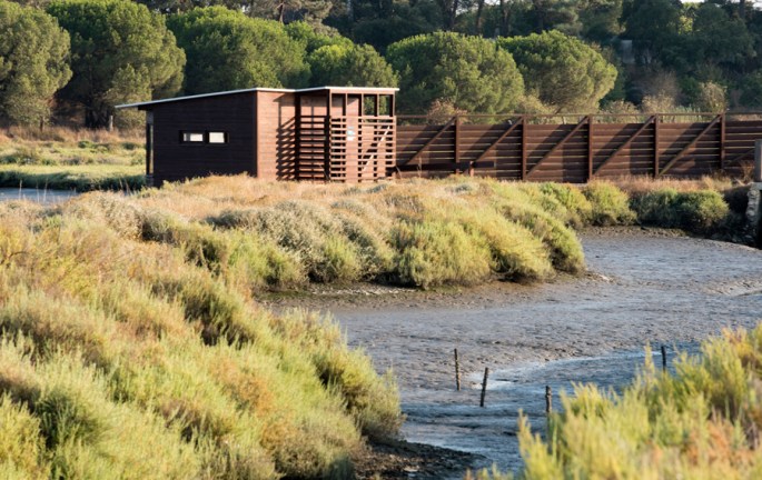 Estrutura para observação de aves