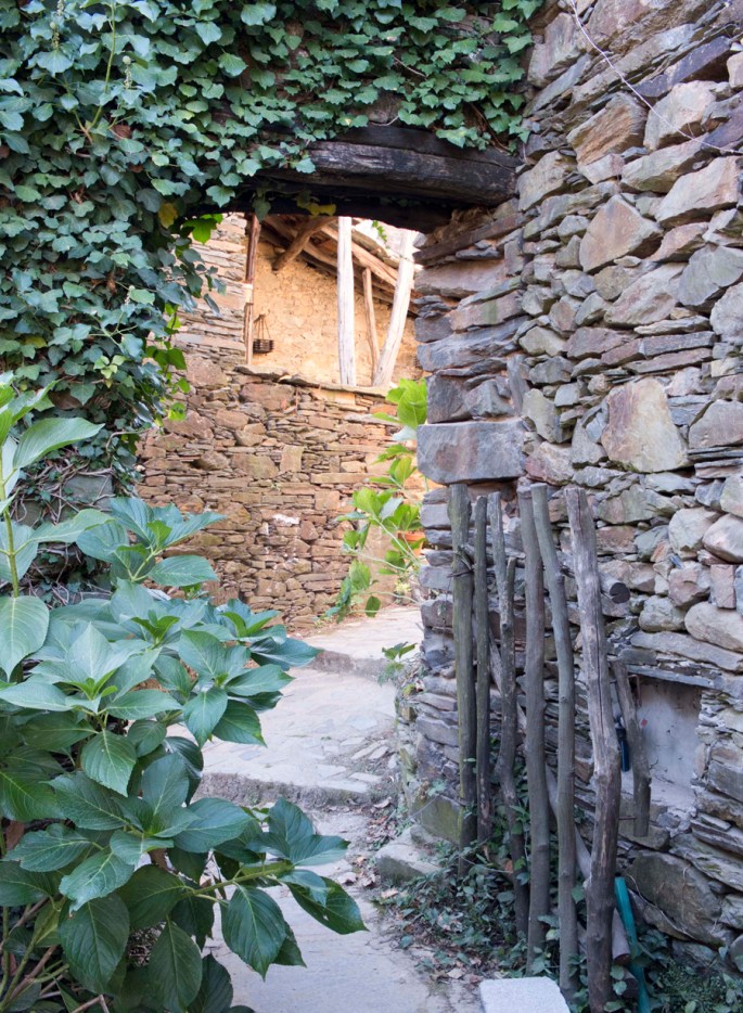 Caminhos estreitos por onde passa a vegetação que se apropria dos muros