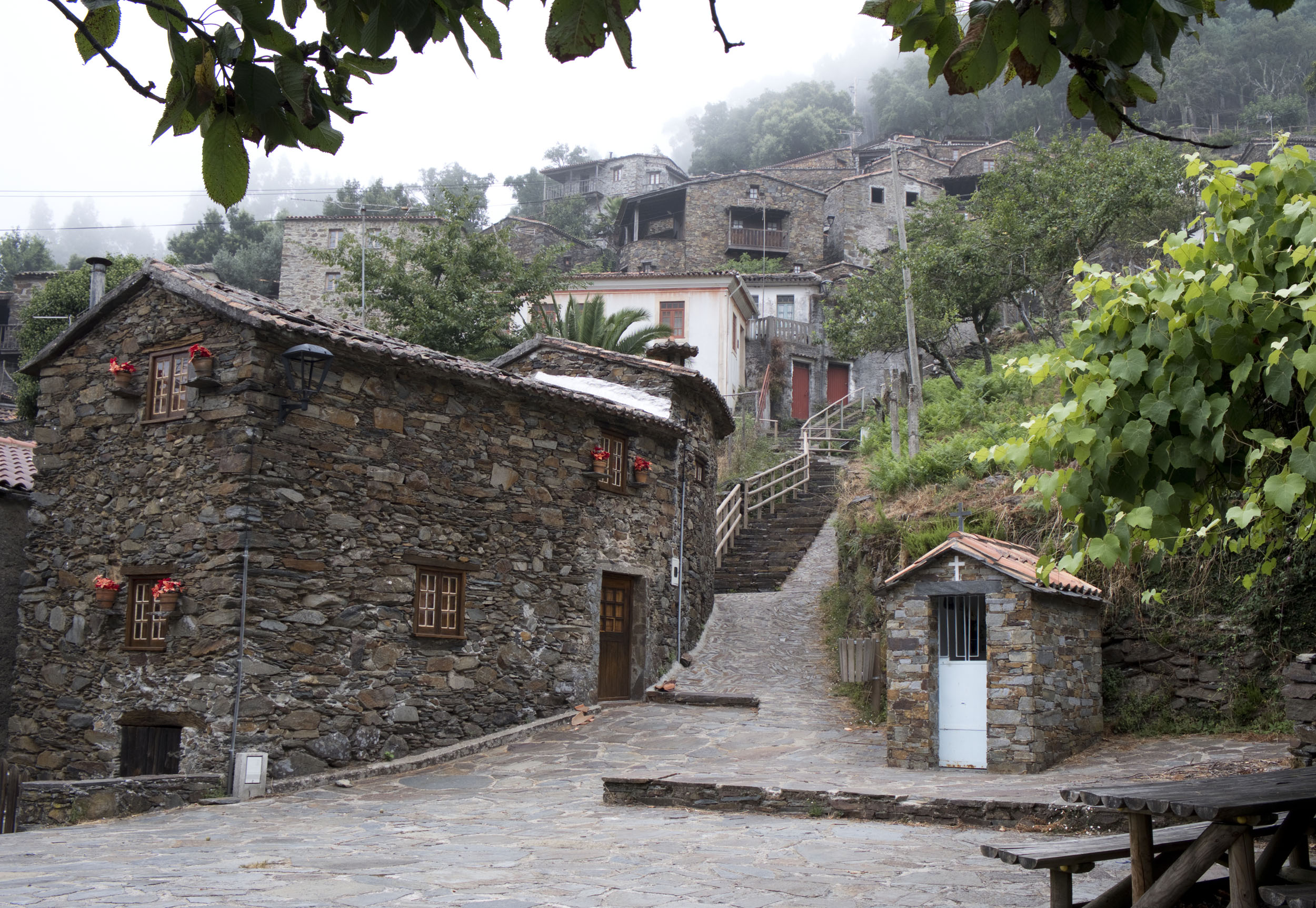 siteG_candal_DSCF4533