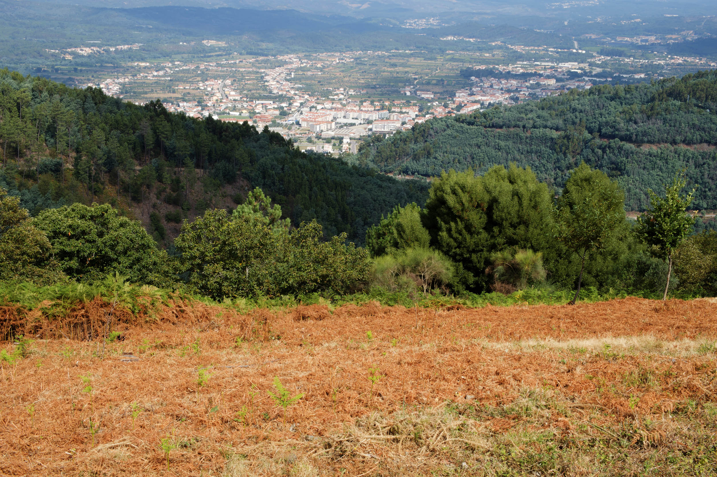 siteG_lousa_casal_novo_vista_hdr