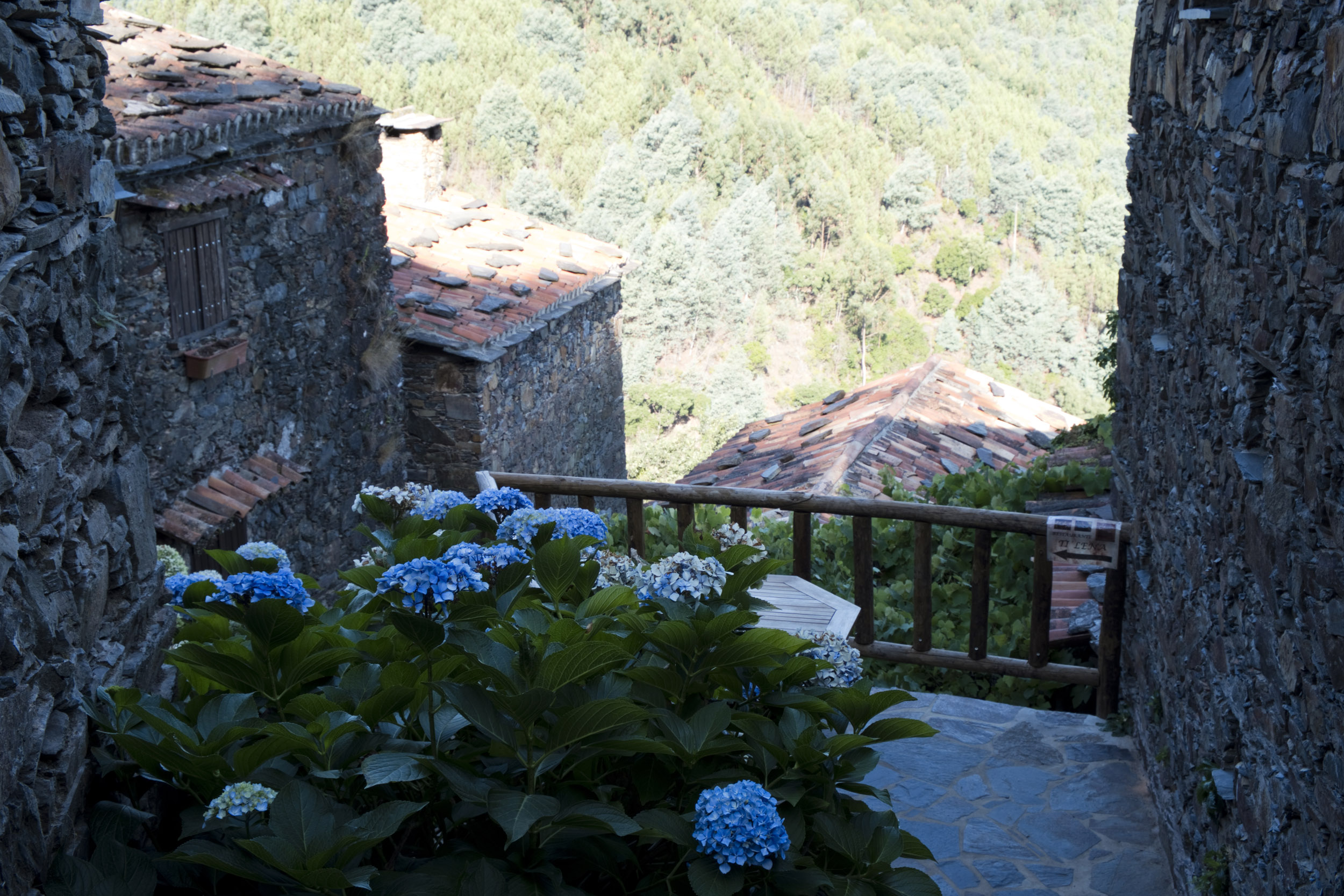 siteG_talasnal_DSCF4240