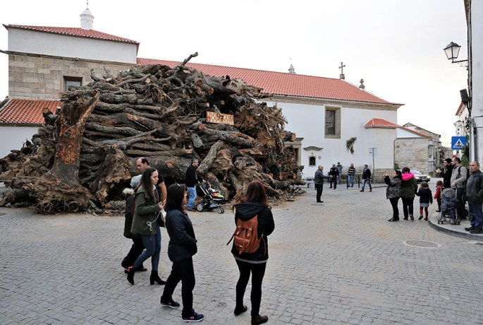 Madeiro fica até à noite de 23 para 24 no largo, junto à estrada ©CMPenamacor