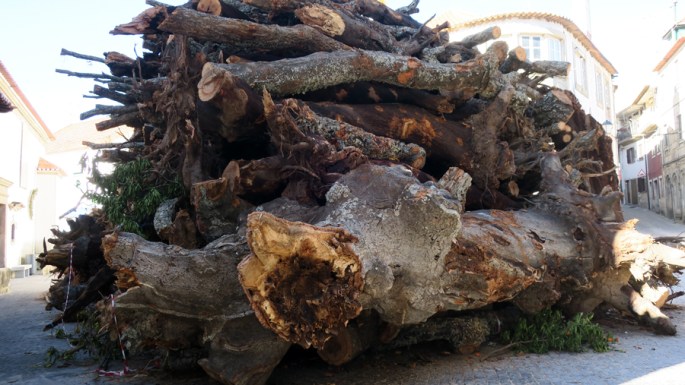 São várias árvores empilhadas na praça da igreja