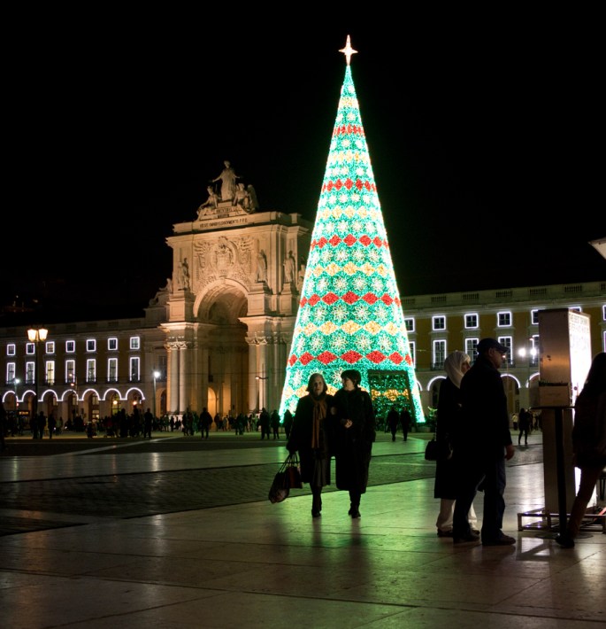 Árvore no Terreiro do Paço em Lisboa