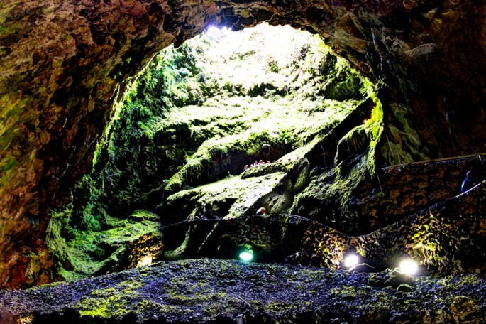 A longa escadaria e a vegetação deslumbrante