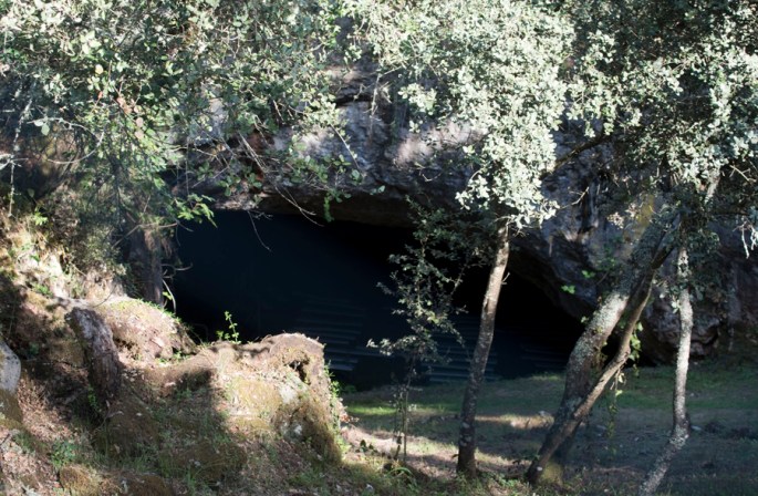 A gruta está rodeada de muita vegetação