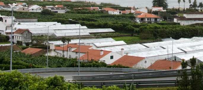 As estufas destacam-se na paisagem devido aos vidros caiados