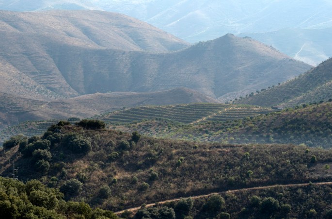 Estrada para Penascosa