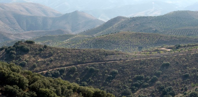 As cordilheiras permitem uma grande visibilidade entre os montes mais altoes