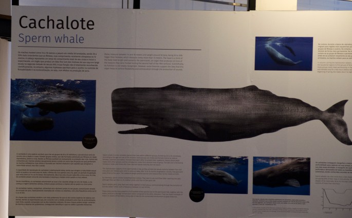 site_ambiente_boqueirao_DSCF6880