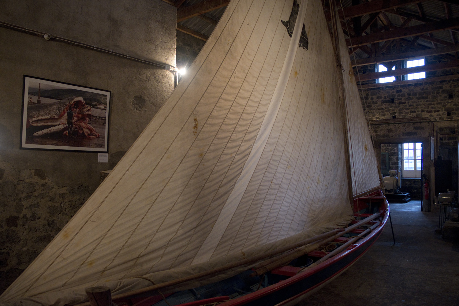 site_baleia_pico_DSCF7407