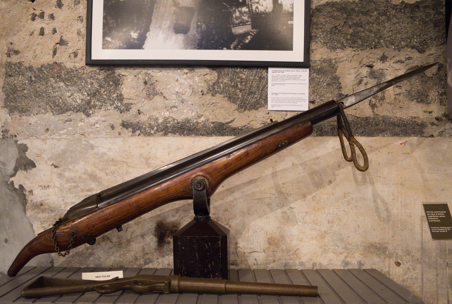 Arpão norte-americano