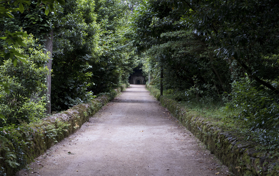 Um dos muitos caminhos no interior da Mata