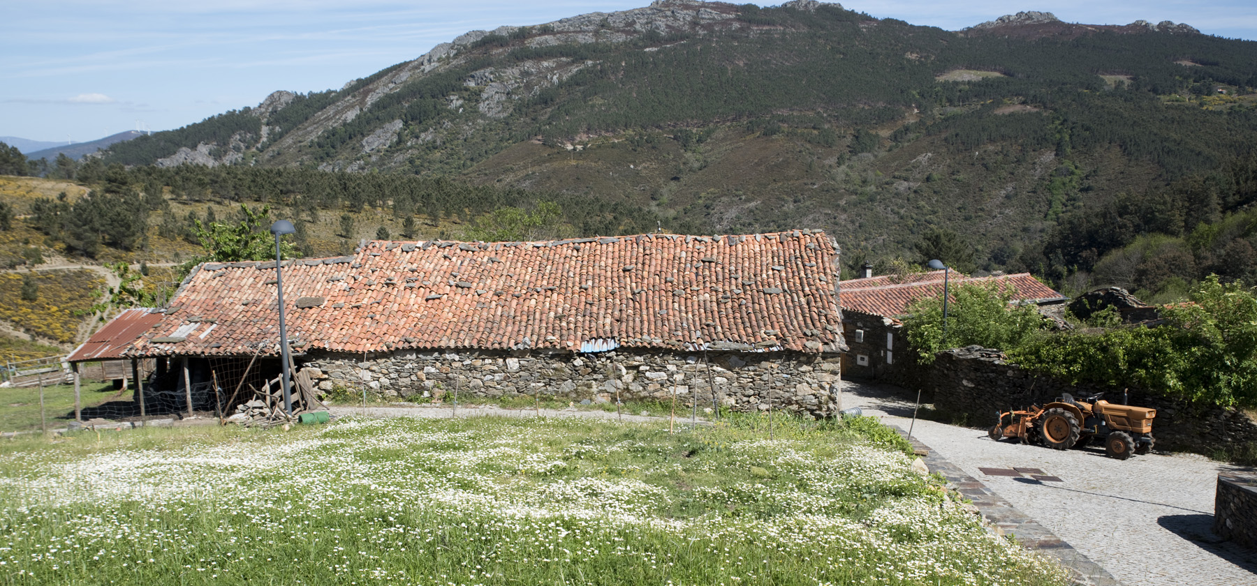 site_cabecalho_aigra_velha_geral