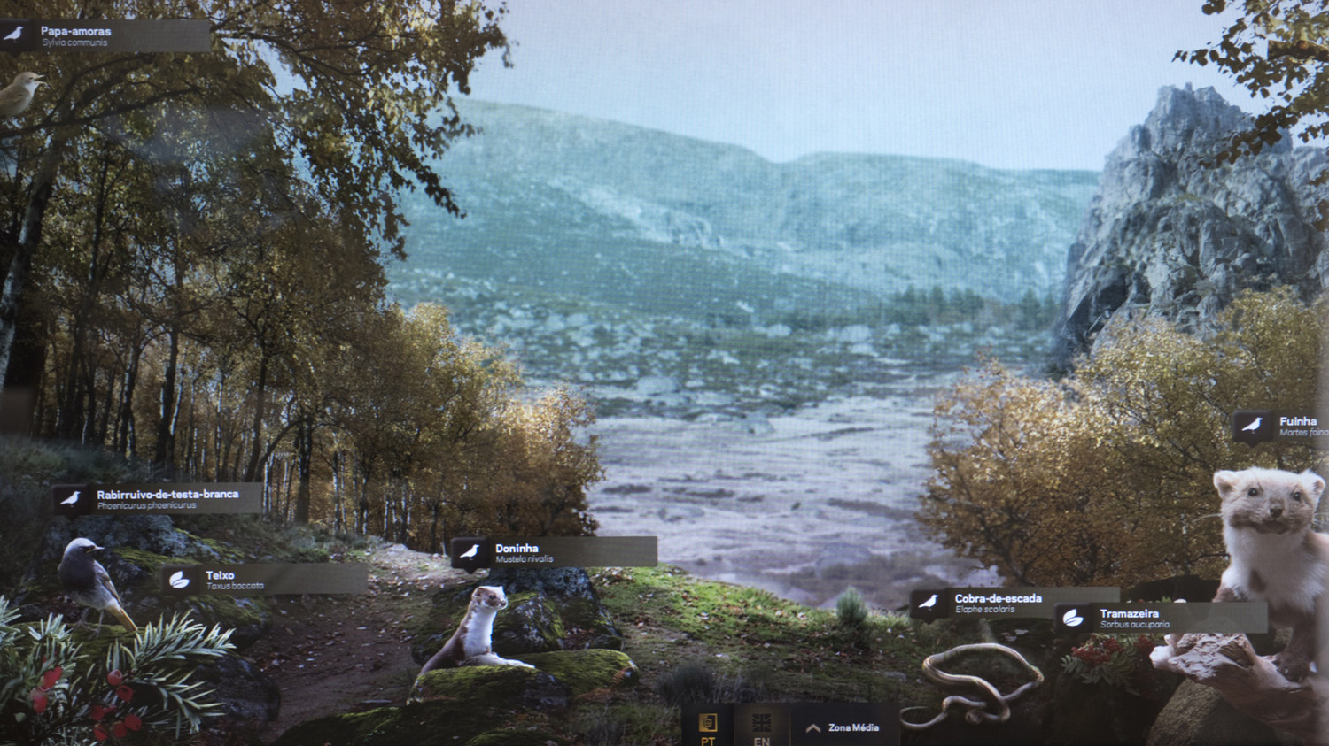 Ilustração no Ecomuseu do Vale Glaciar do Zêzere em Manteigas