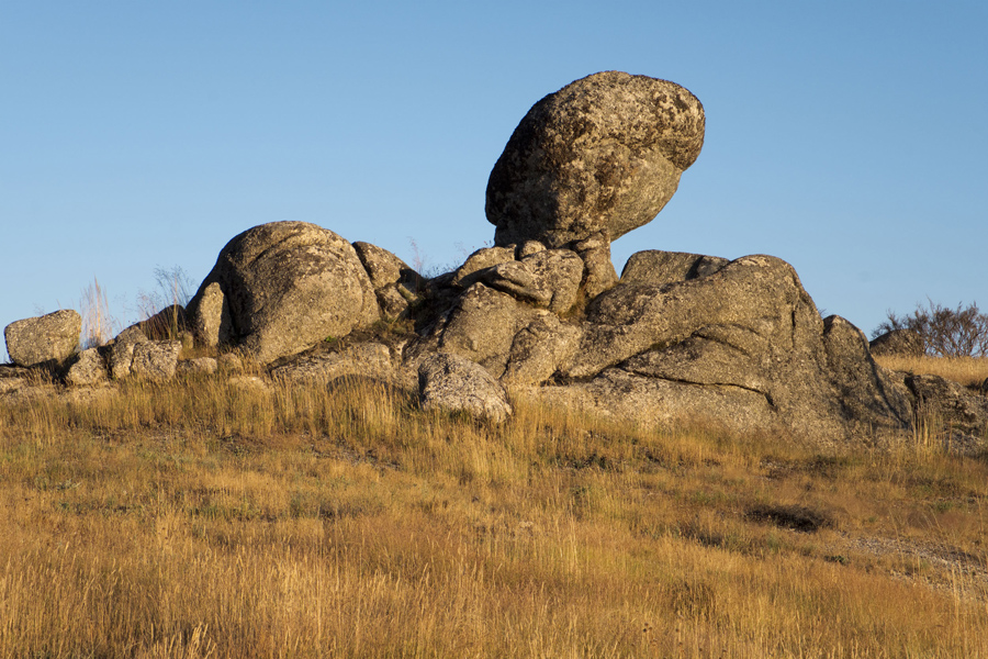 site_estrela_DSCF3795