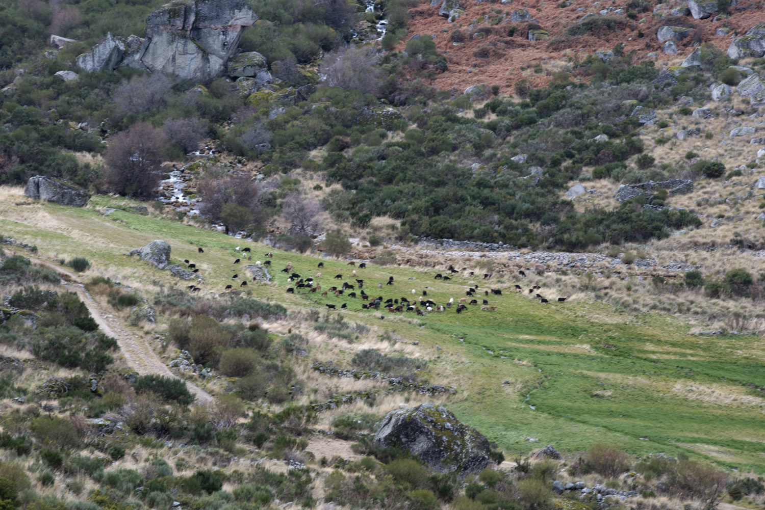Vale Glaciar do Zêzere