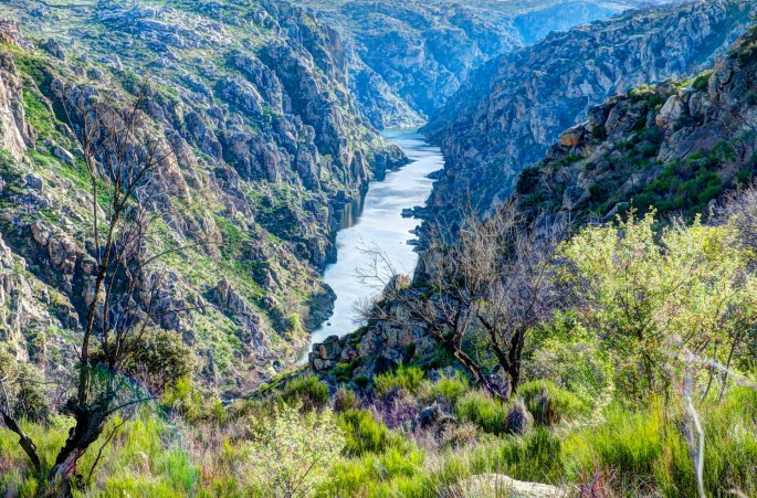 O Douro em S. João das Arribas