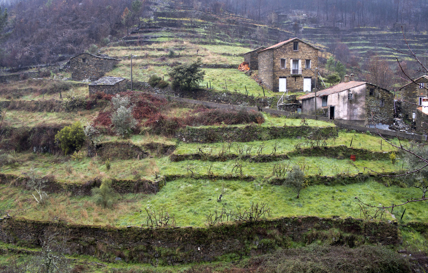 Sucalcos para terrenos agrícolas