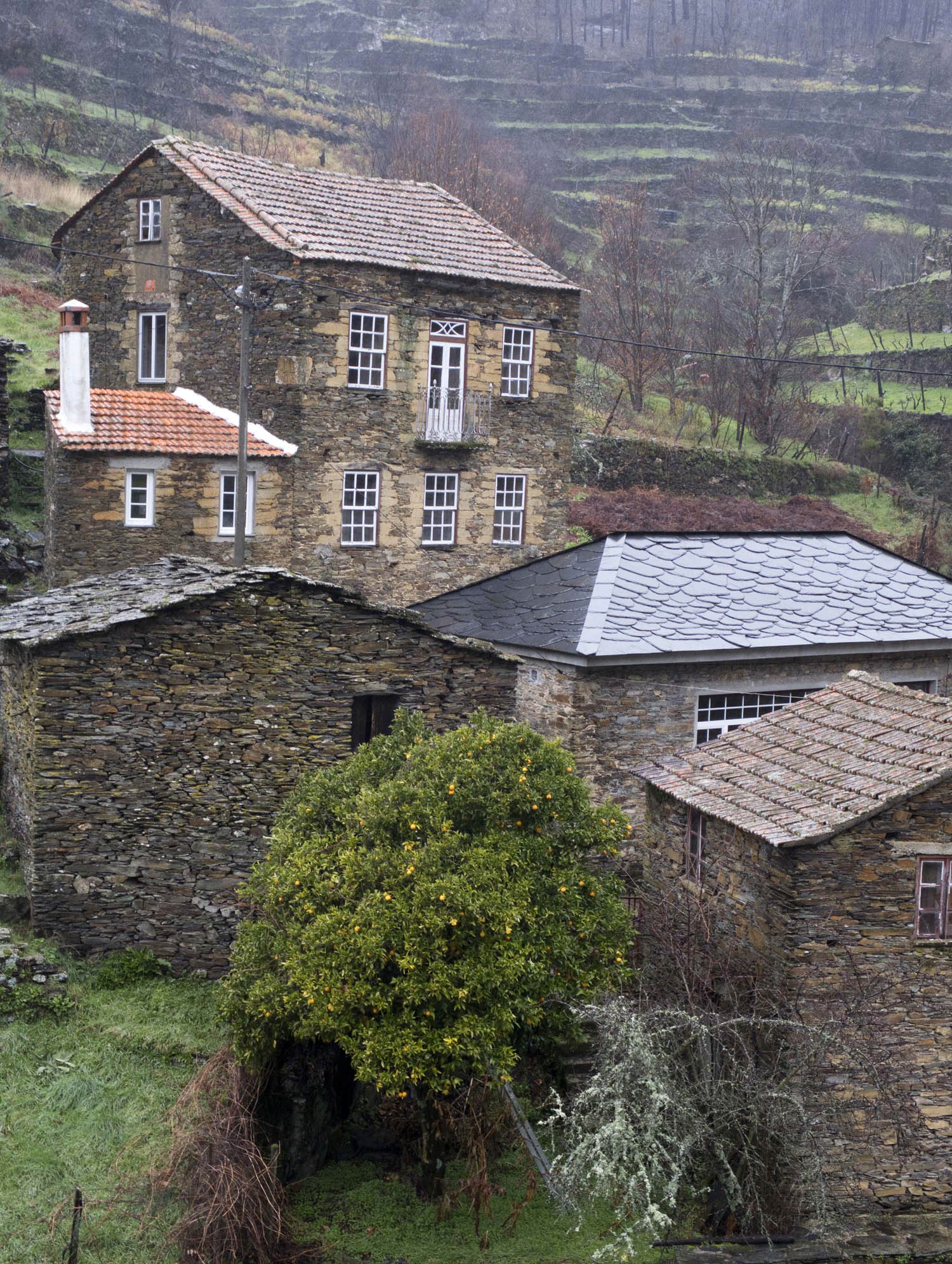 site_fontao_DSCF8949