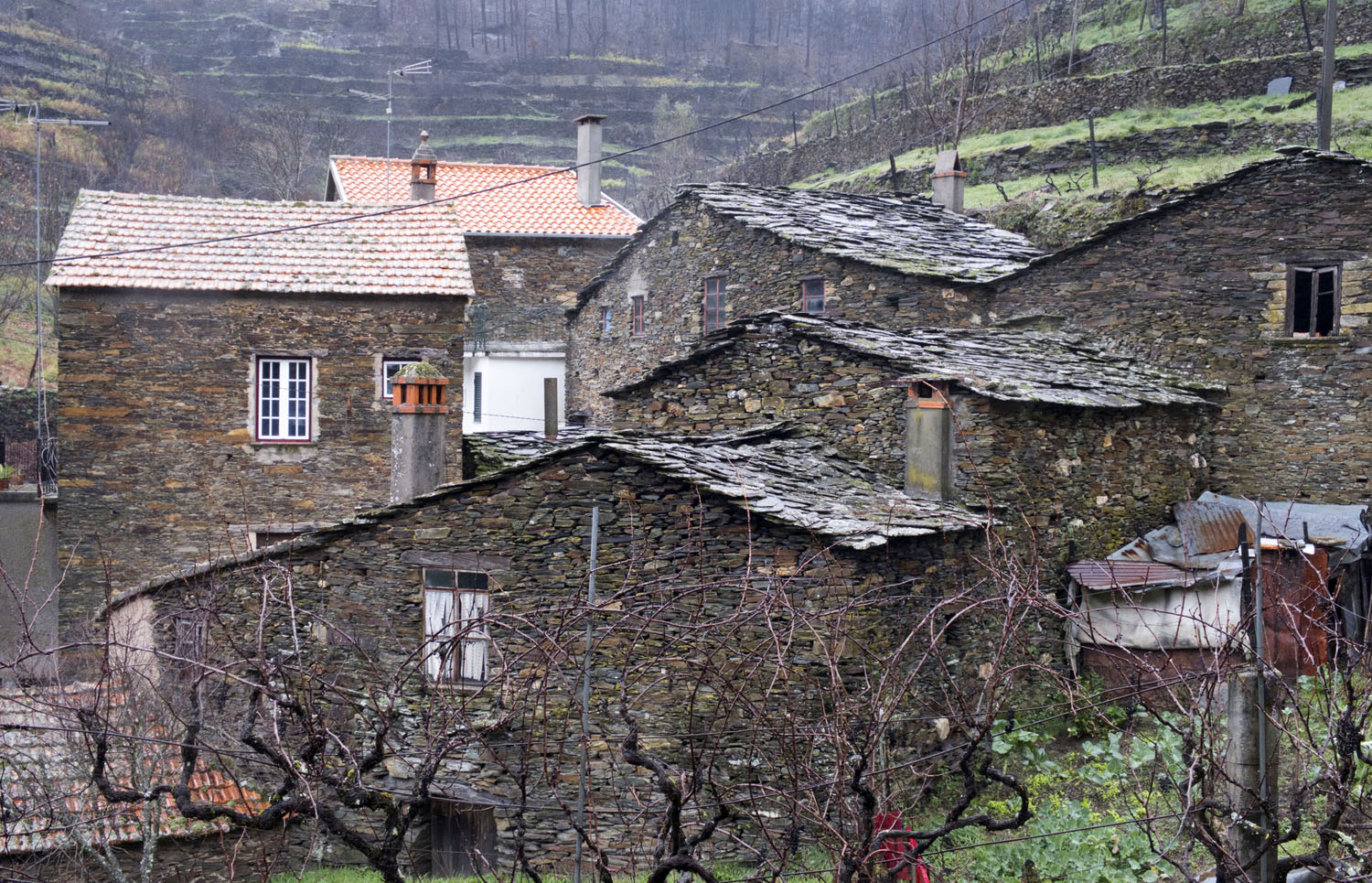 site_fontao_DSCF8950