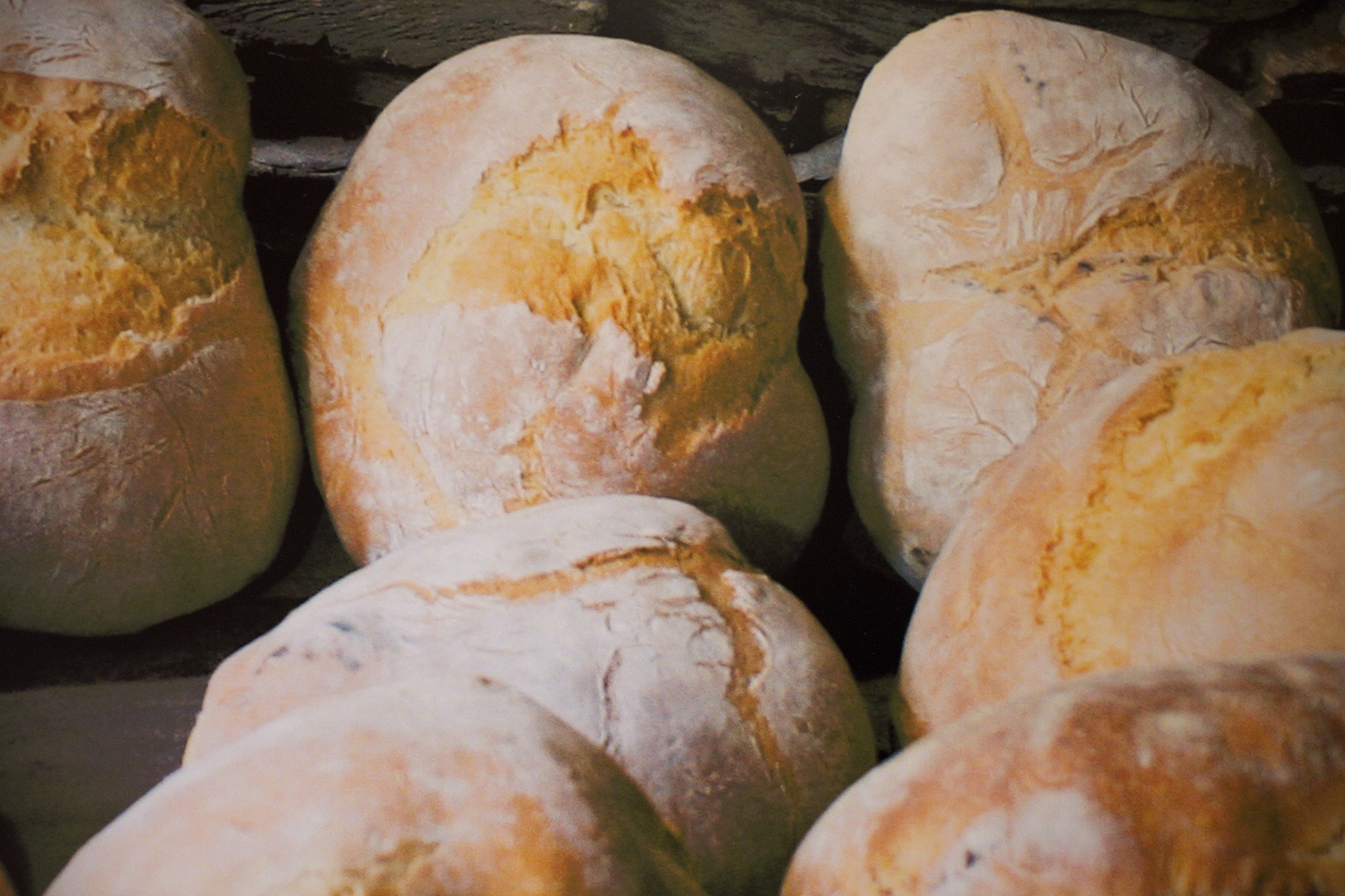 site_martim_casa_DSCF8758