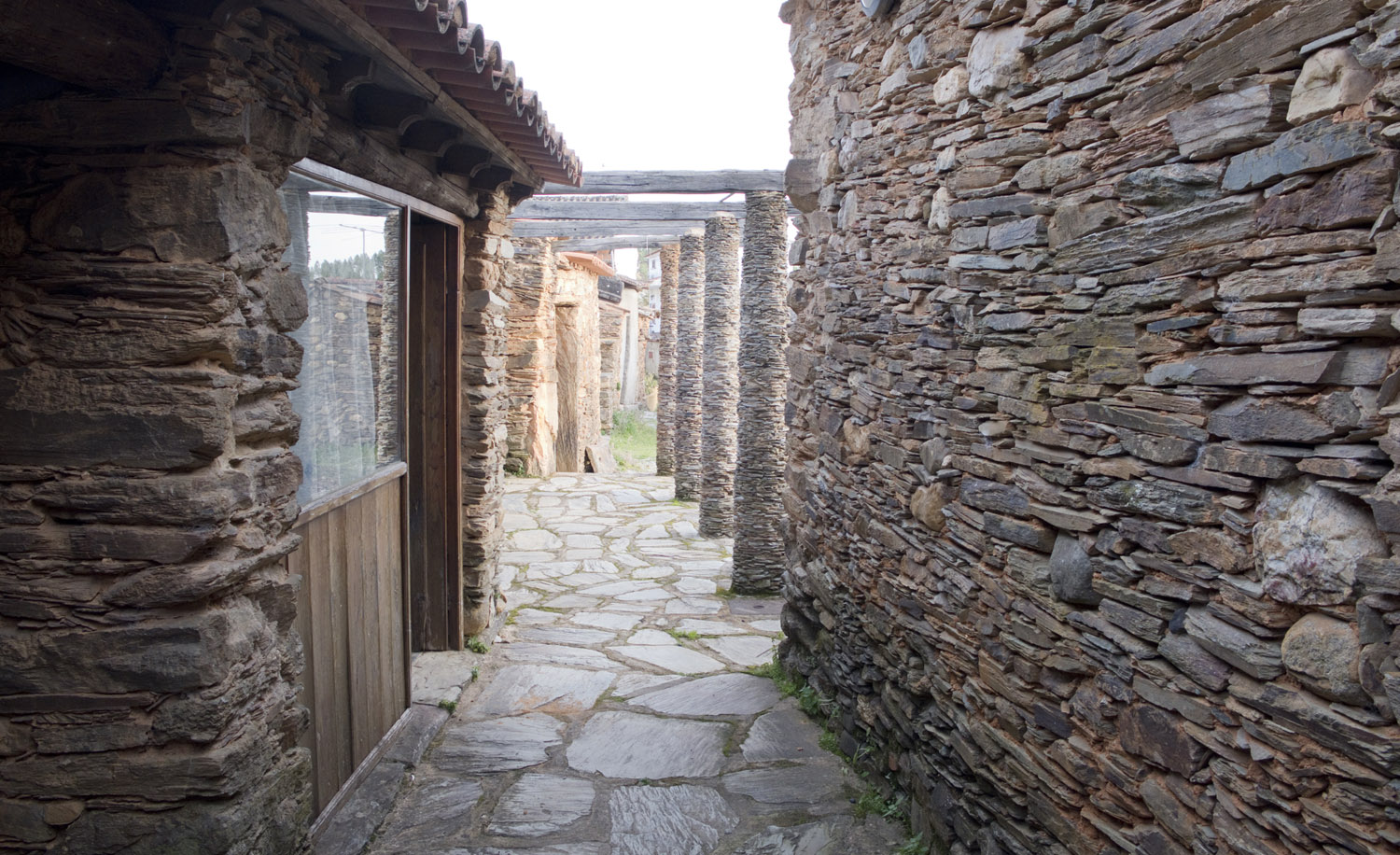 site_martim_DSCF8742