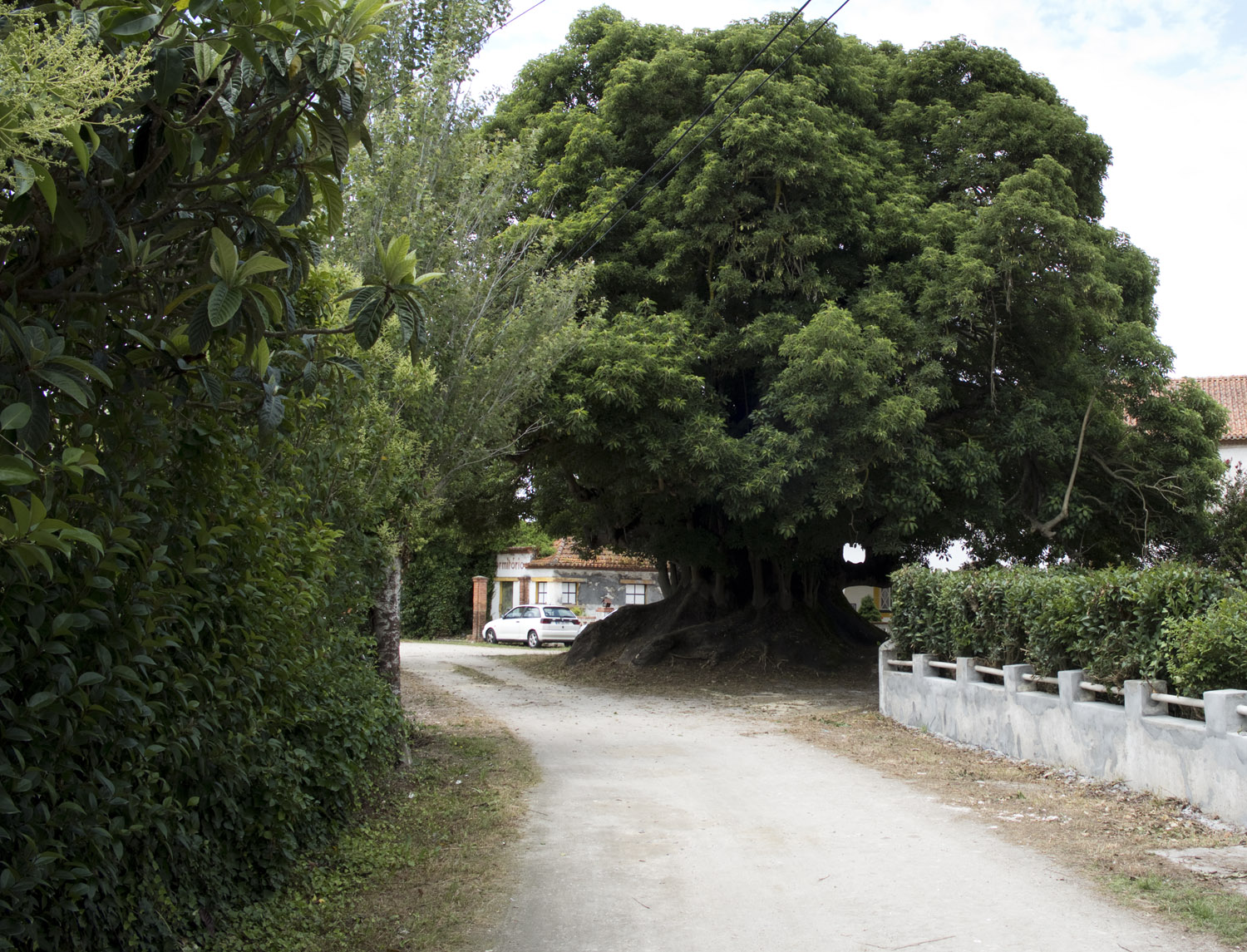 site_vista_alegre_bairro_DSCF2802