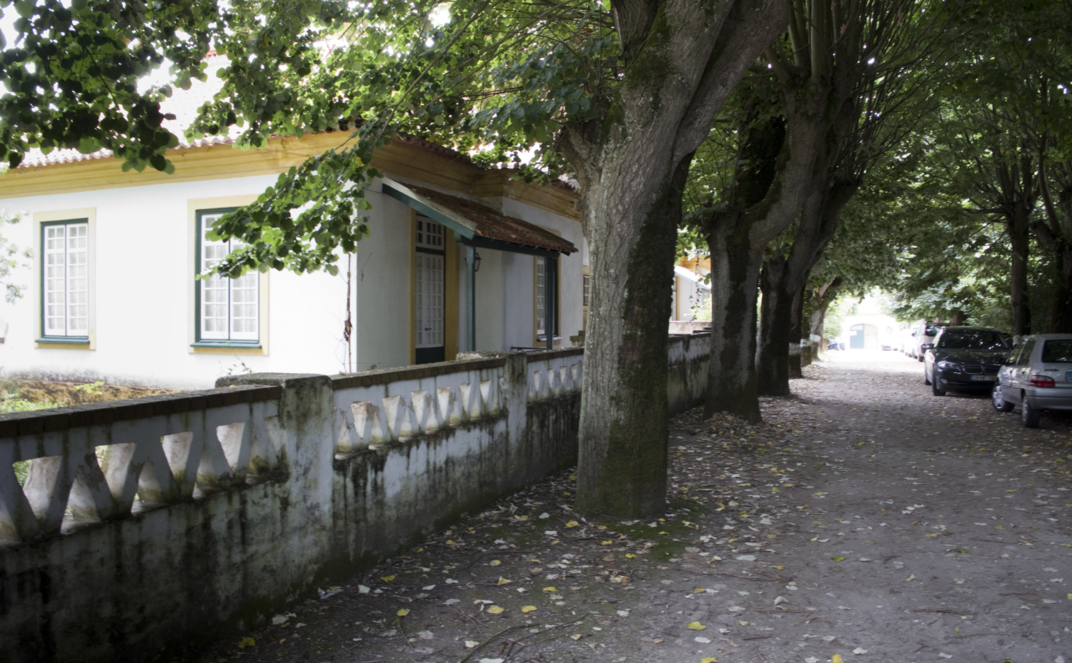 site_vista_alegre_bairro_DSCF2809