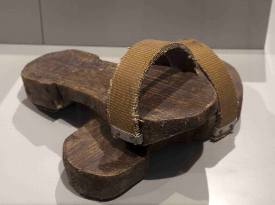 Um exemplar é visivel no Museu