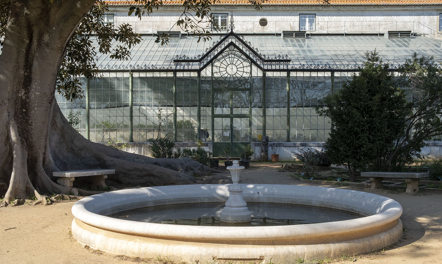 site_botanico_ajuda_DSCF9686