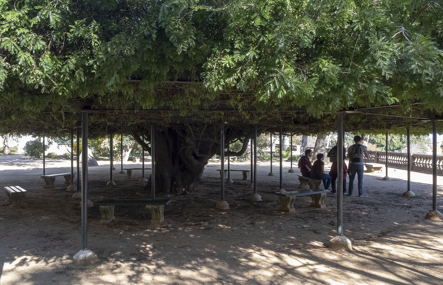 site_botanico_ajuda_DSCF9709