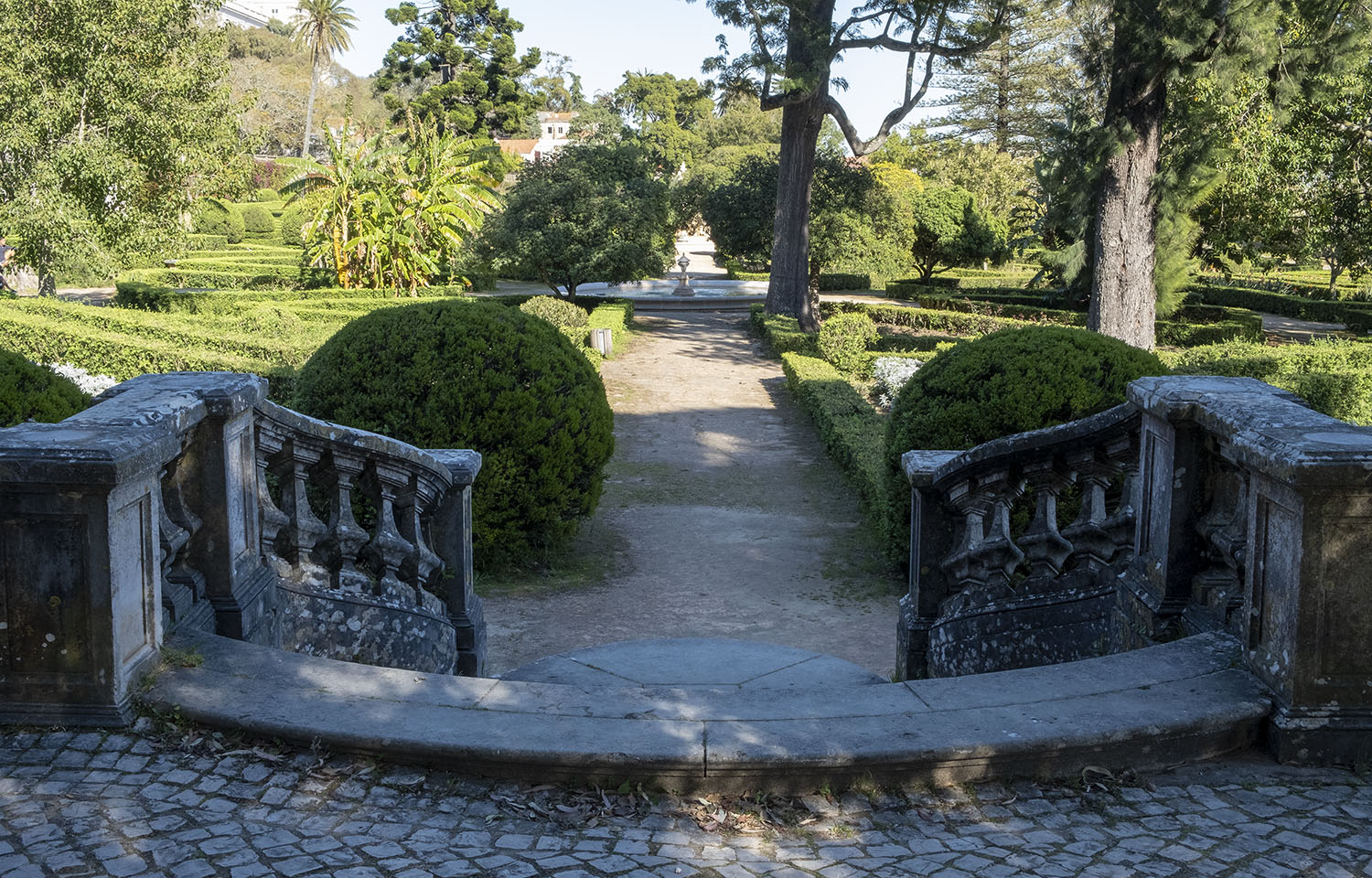 site_botanico_ajuda_DSCF9719