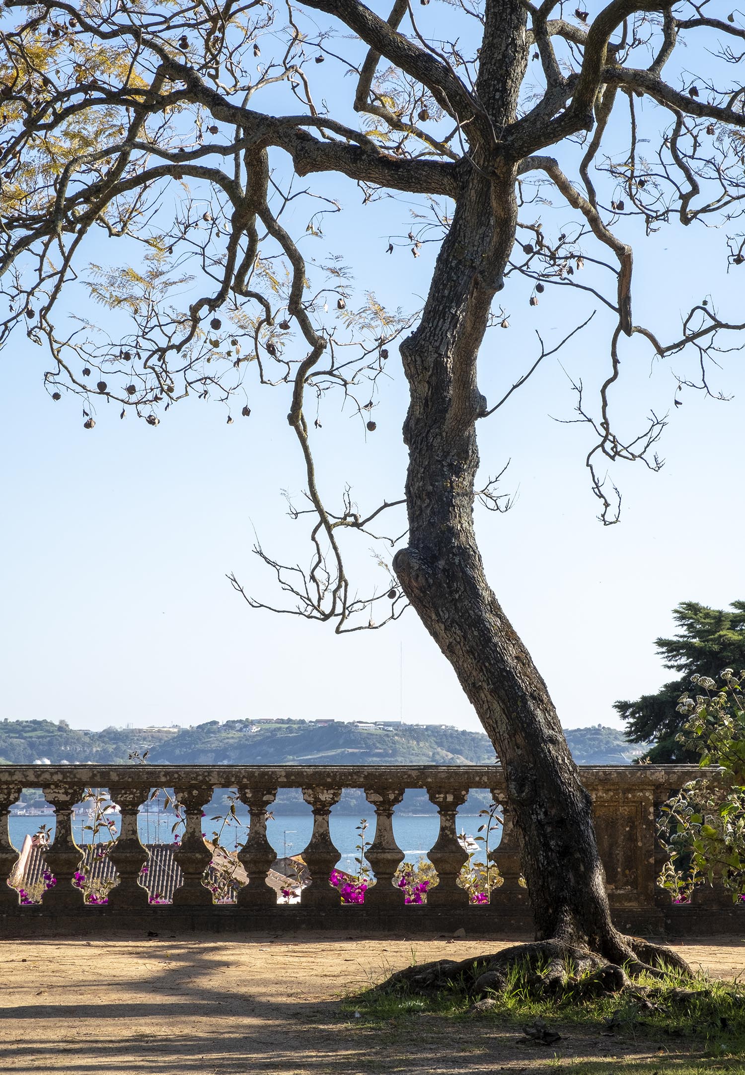 site_botanico_ajuda_DSCF9749