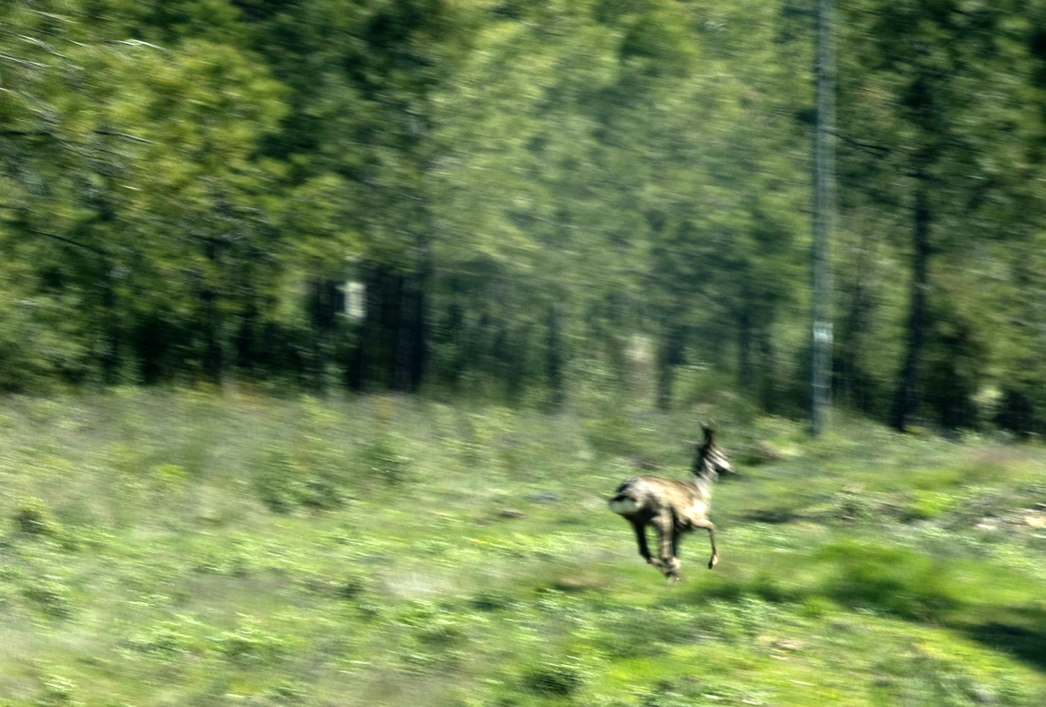 site_malcata_corsa_7492b