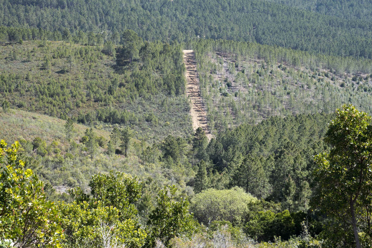 site_malcata_DSCF9925