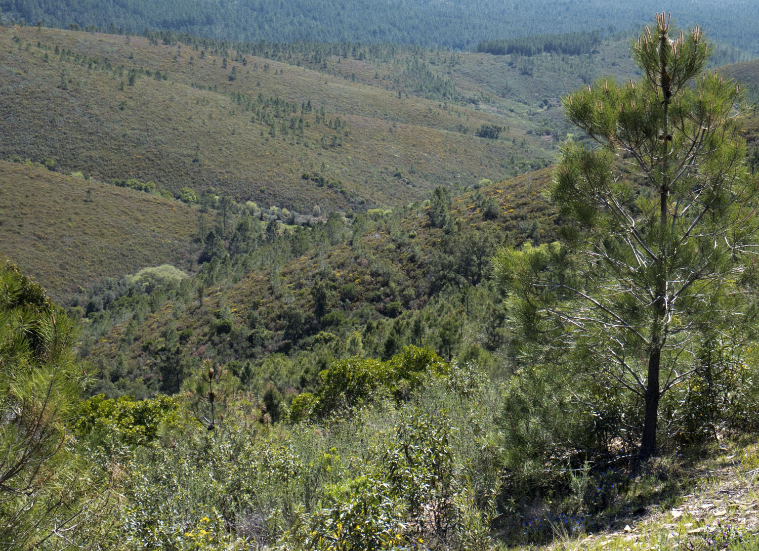 site_malcata_DSCF9927