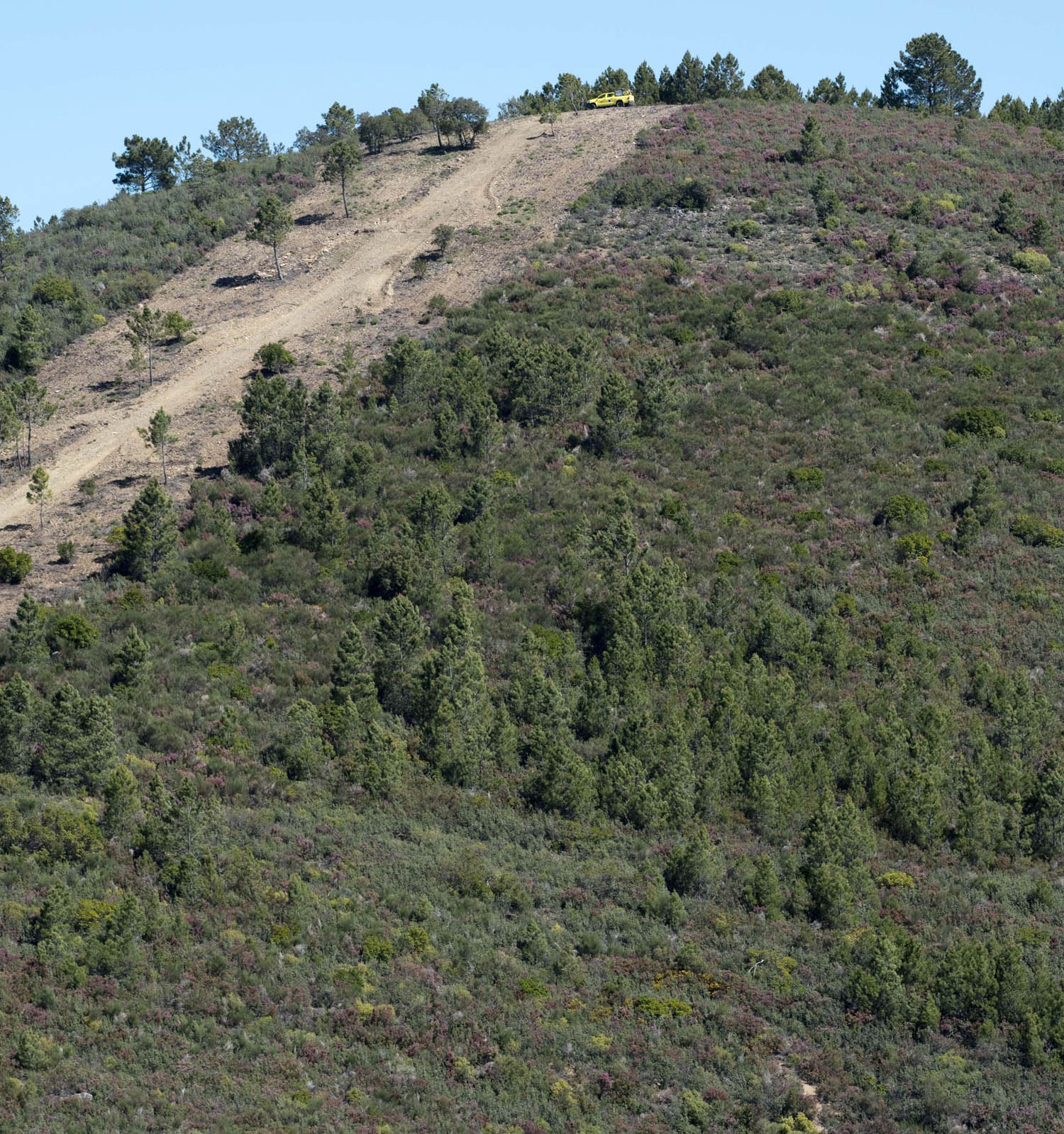 site_malcata_vigilante_7499