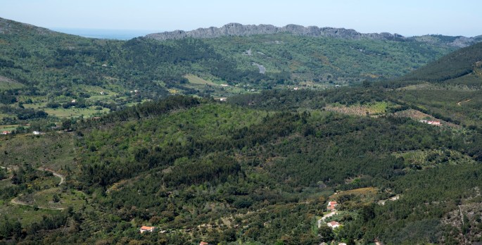 site_parque_smamede_0706