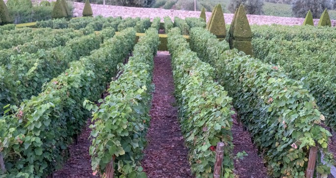 site_santar_jardim_DSCF4760