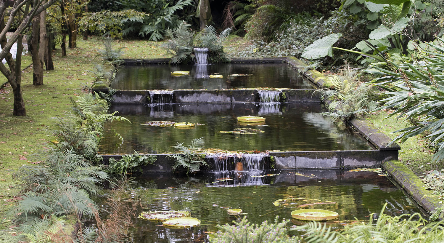 site_terra_nostra_3238