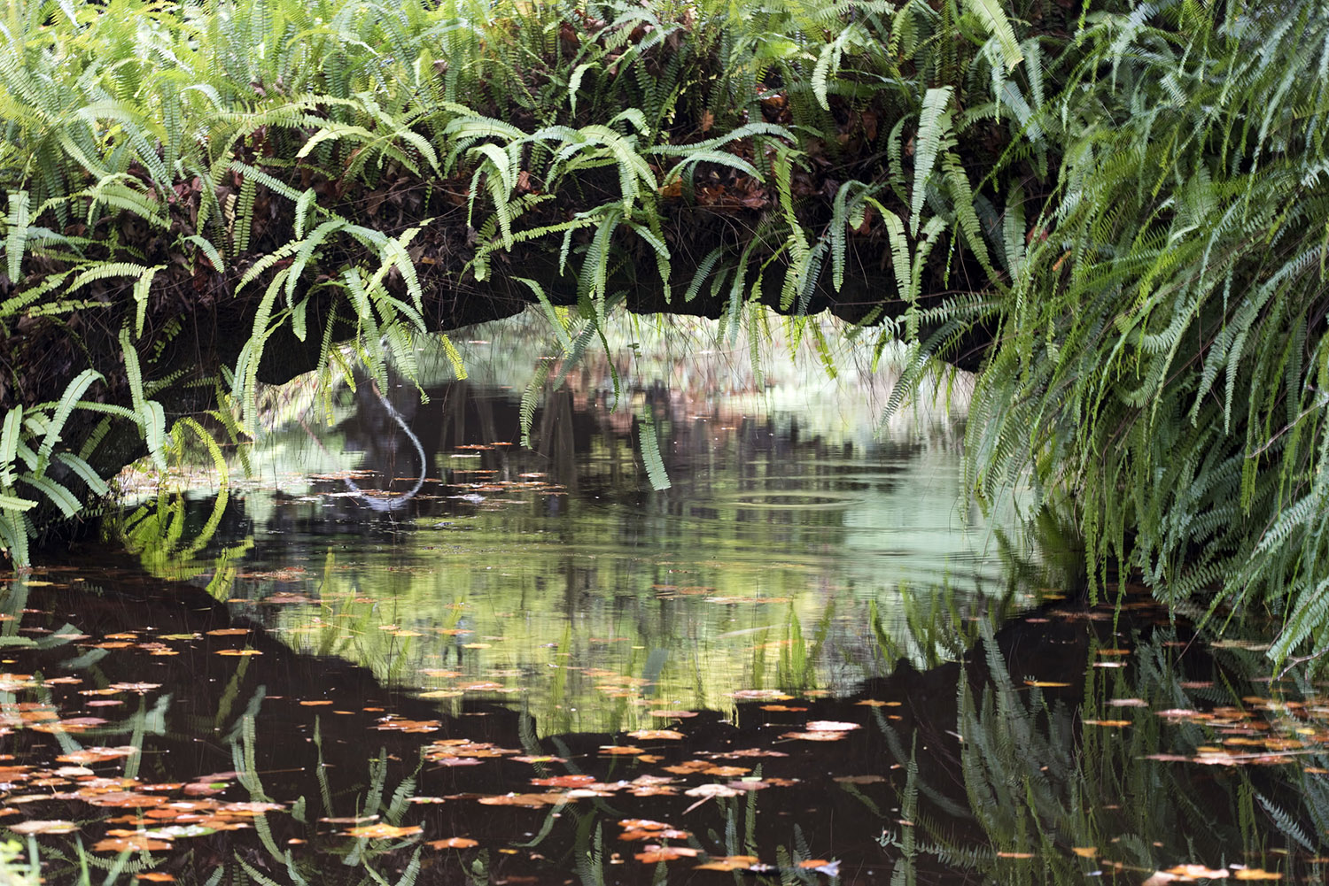 site_terra_nostra_3267