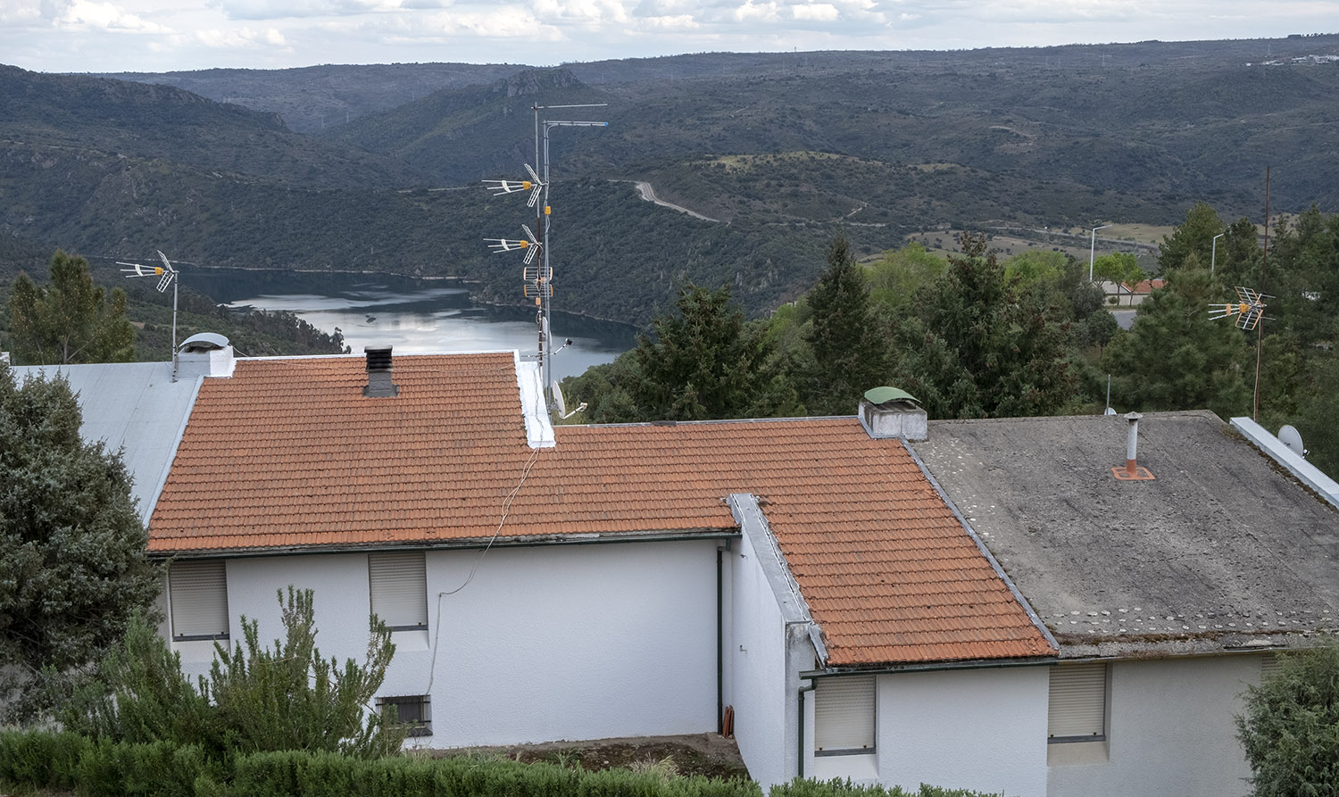Cardal do Douro