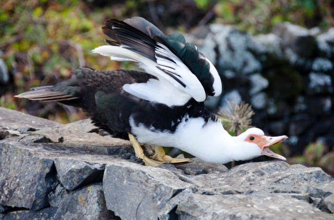 site_cascata_aveiro_0753