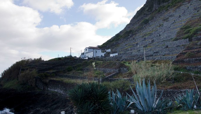 Socalcos de vinha junto à cascata