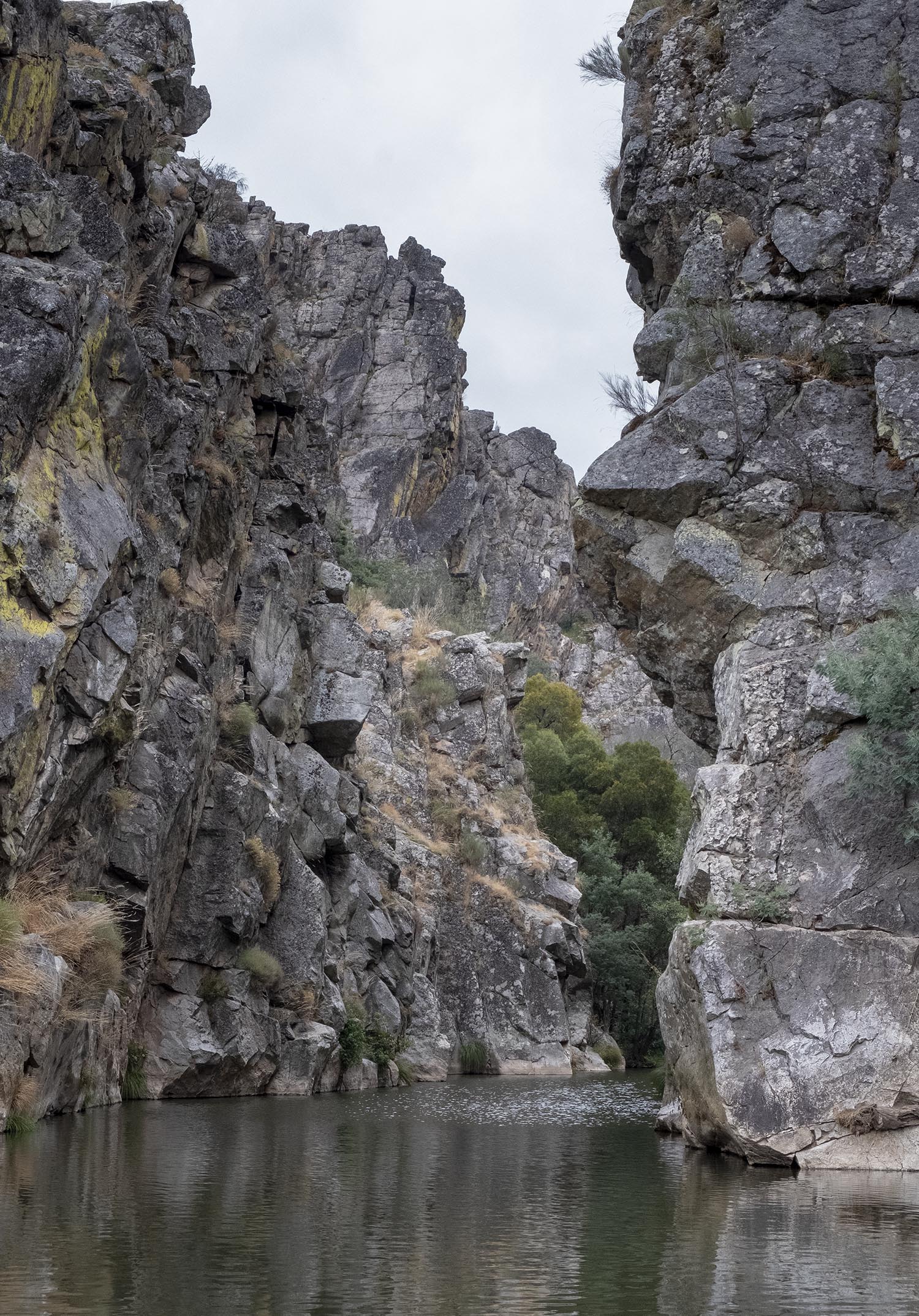 site_ceira_praia_DSCF4670