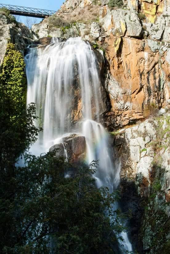 Faia da Água Alta ©Maschocalheiro Bemposta