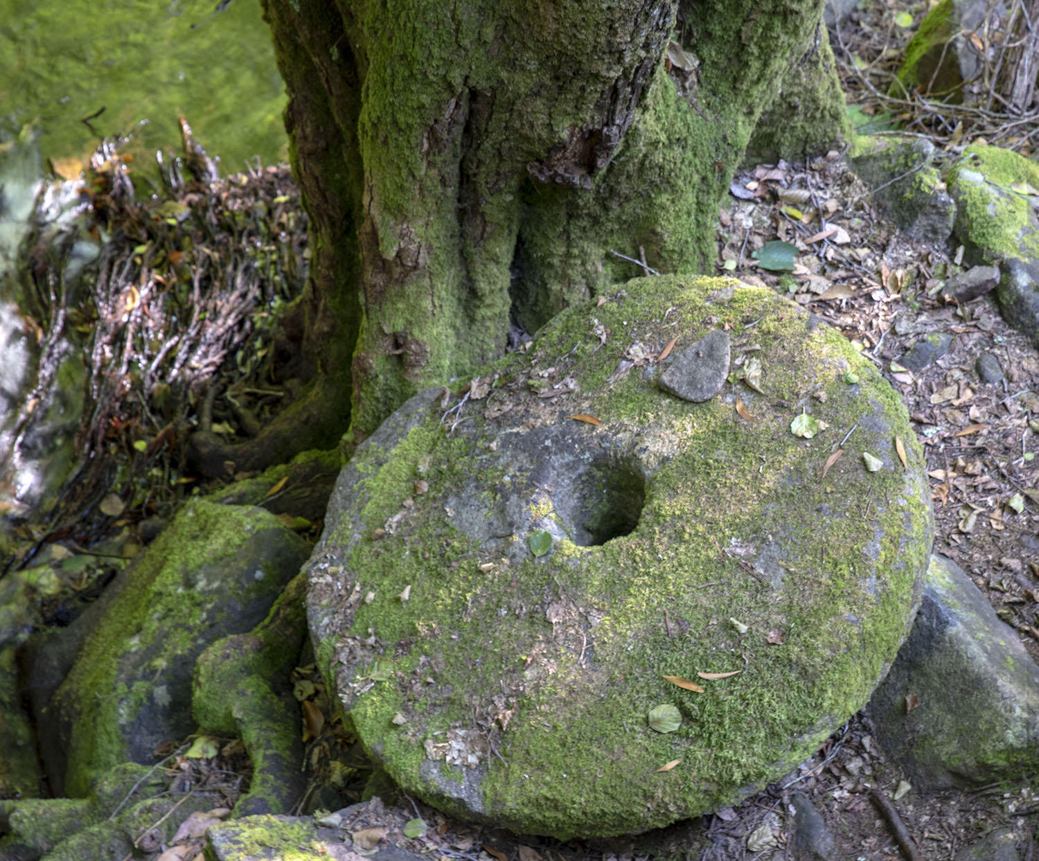 site_pedra_ferida_1920
