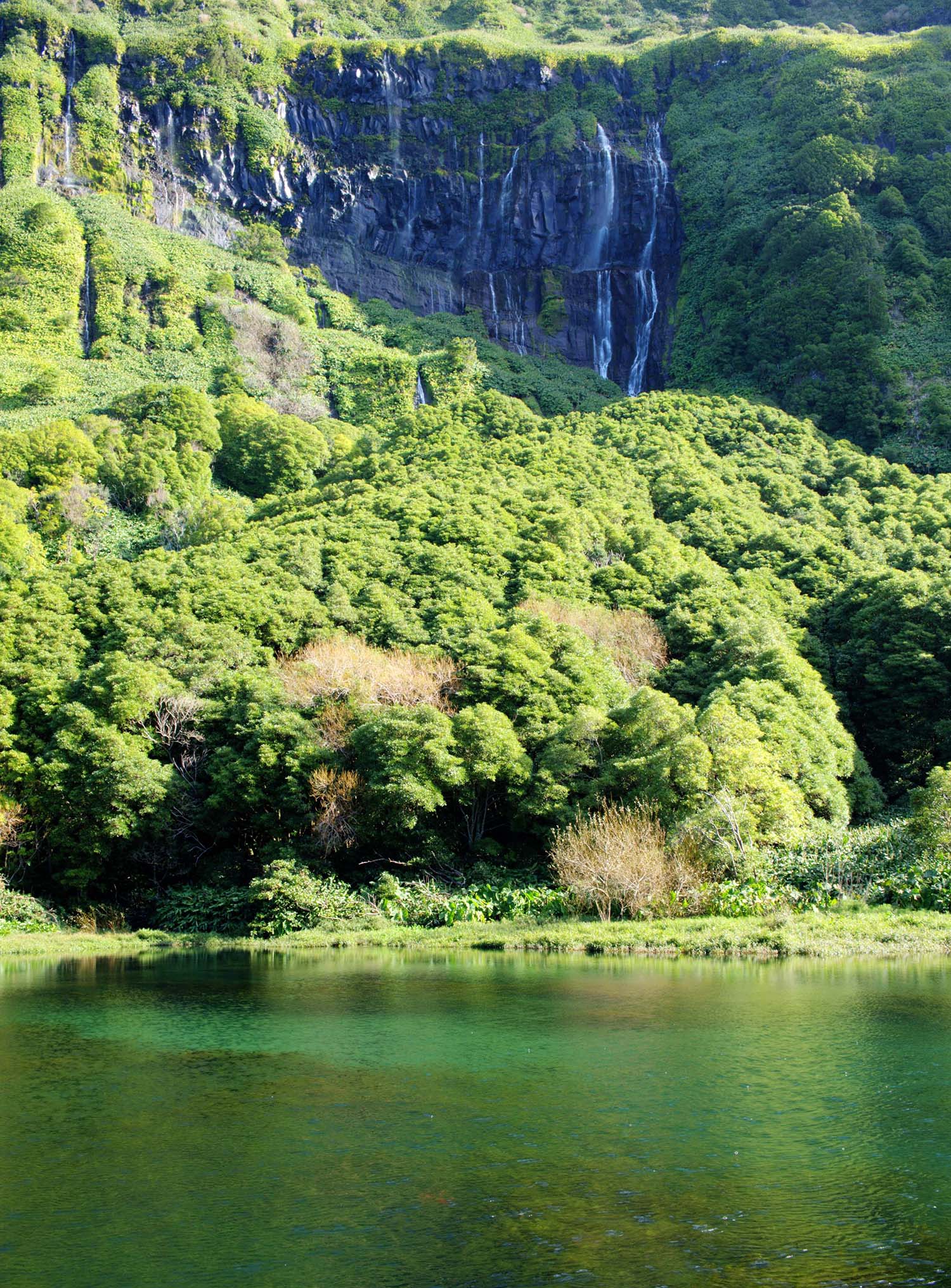 site_poco_ferreira5_hdr