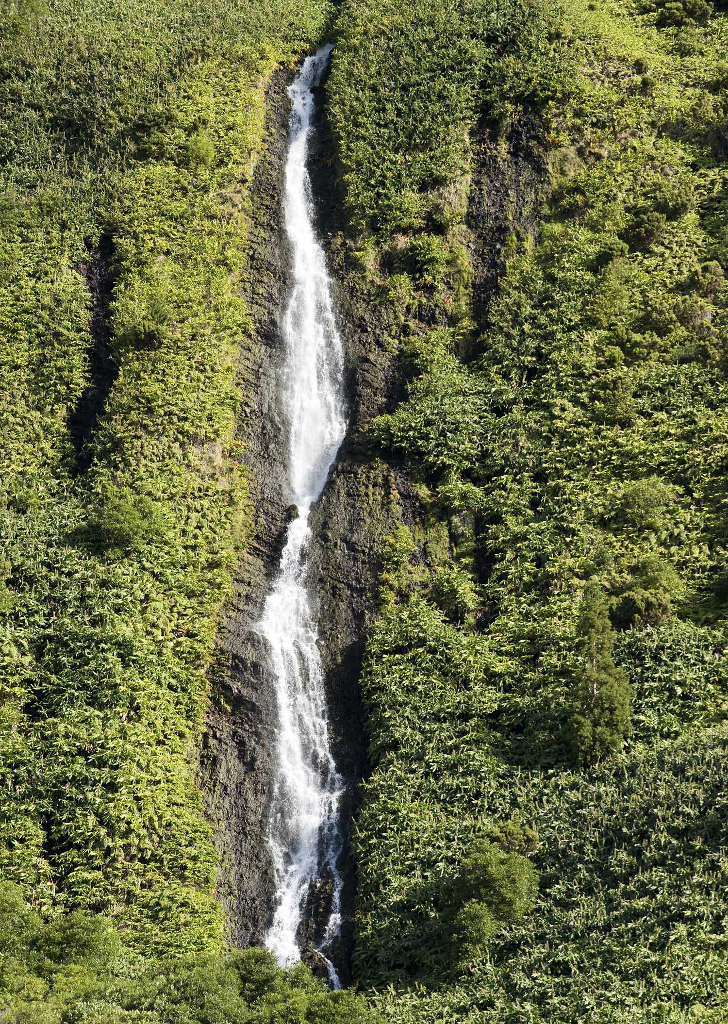 site_poco_ferreira_4558